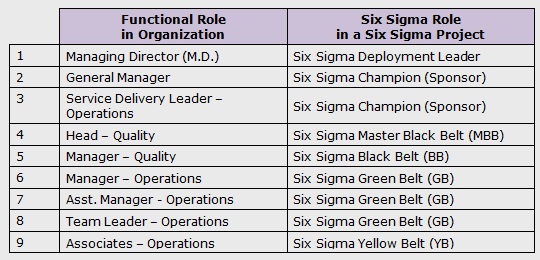 Tænke hypotese ale Six Sigma Roles and Responsibilities - International Six Sigma Institute