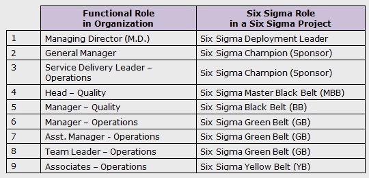 Uluru Cirkus sortere Six Sigma Roles and Responsibilities - International Six Sigma Institute