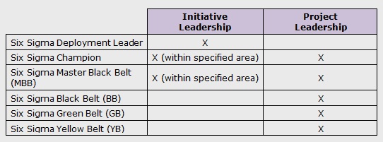 Six Roles and Responsibilities - International Six Sigma Institute